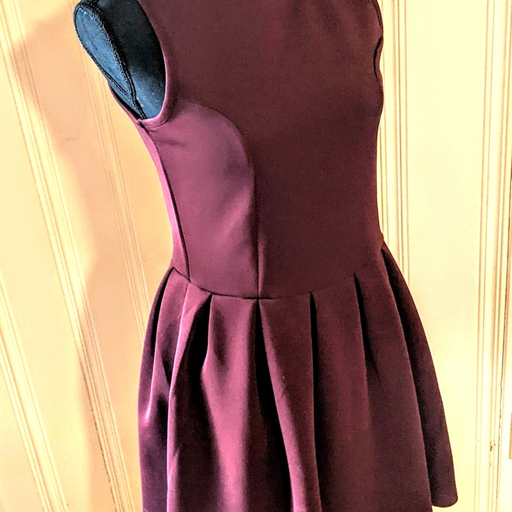 Burgundy Skater dress